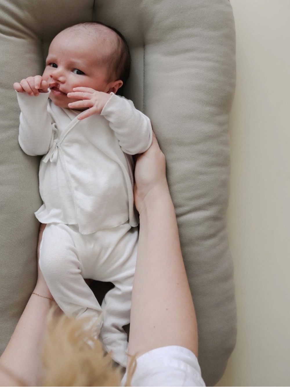 Snuggle Me Organic Infant Lounger Cover
